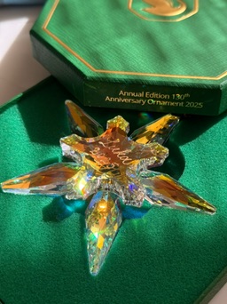 Custom engraved Swarovski crystal ornament — Lettering in the Cloud